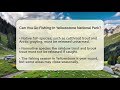 Can You Go Fishing In Yellowstone National Park? - The Hiker's Advice