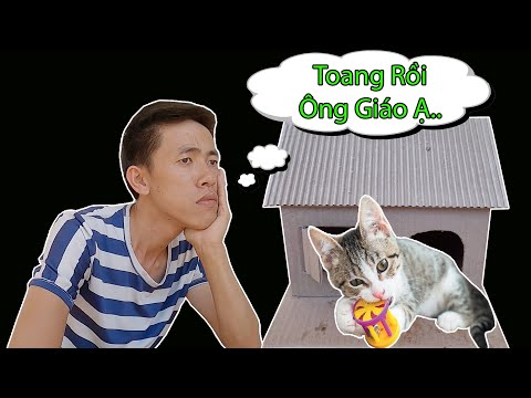 101 Cách Xử Phạt Mèo Con Can Tội Làm Bể Bình Bông Quý Của Mẹ || Anh Công Nguyên