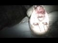 Download Let's Play w/ Girlfriend - Resident Evil 7 (Teaser) Let's Play w/ Girlfriend - Resident Evil 7 (Teaser)