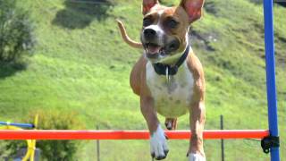 Watch Clea Sprung video