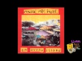 Neutral Milk Hotel "Song Against Sex"