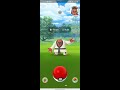 *SAFE* SAFARI ZONE St Louis SHINY HUNT