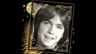 Watch David Cassidy Its Over video
