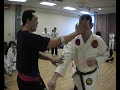 Small Circle Jujitsu : Pressure Point KO from a punch