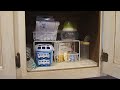 Organization