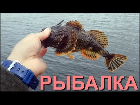 рыбалка на ерша ютуб рыбалка на ерша ютуб