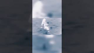 u9A3UKvVi8g Video Image