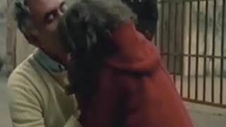 Yılmaz Güney Durum Videosu