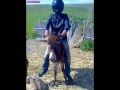 Maroc Insolite 2012