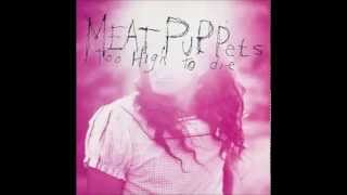 Watch Meat Puppets Never To Be Found video