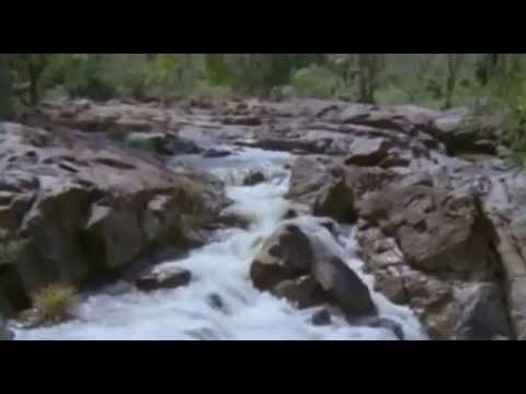 Poovirinjhilla Poovin | INa | Malayalam Movie Song