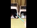 お隣さん
