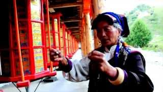 A Welcome Return ڰۣڿڰۣ ڰۣڿڰۣ Phil Thornton Tibet Free A Welcome Return ڰۣڿڰۣ ڰۣڿڰۣ Phil Thornton Tibet Free