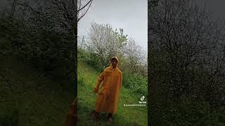 Sarı Uzaylı