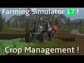 Farming Simulator 17 | Oilseed Radish and How it Helps!