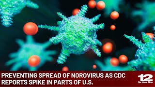 Preventing spread of norovirus as CDC reports spike in parts of U.S.