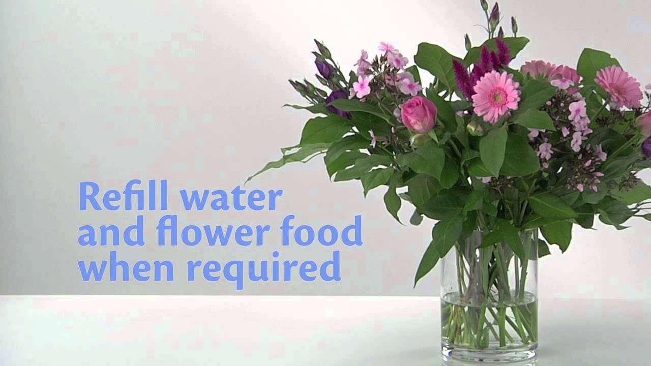 How to layout a formal rose lawn kew gardens bluebells