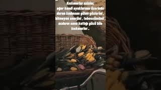 Kıskanırlar Azizim