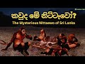 කවුද මේ නිට්‌ටෑවෝ? | The Nittaewo of Sri Lanka