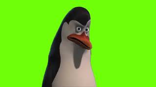 Penguins Of Madagascar, Kowalski Emotion Feelings And Women, Green Screen