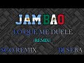 JAMBAO - LO QUE ME DUELE - (REMIX) - DJ SEBA & SANTIAGO REMIX