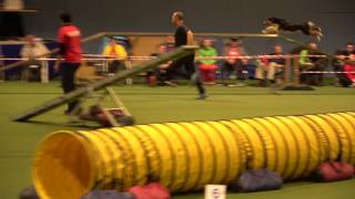 20170507 Quali Wm Agility