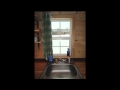 Tiny House Virtual Tour