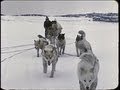 An Inuit/Eskimo family in the Arctic 1959