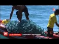 Extrait JT France 2 - 20h00 - 26 07 2013 - Plan Requin Réunion