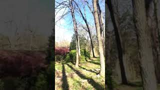 4226 Cappeln Osage Road, Augusta, MO - Active