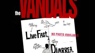 Watch Vandals Get In Line video