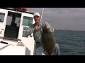 Drifting for California Halibut