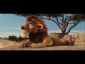 animaux et cie