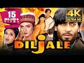 Diljale (4k Ultra HD) - Bollywood Superhit Movie | Ajay Devgn, Sonali Bendre, Madhoo, Parmeet Sethi