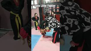 Cute Little Fighter