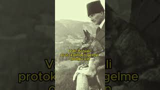 Atatürkün Köpeği Fox