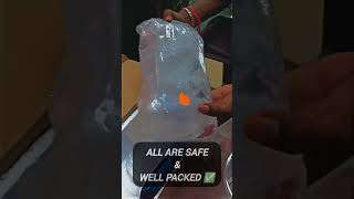 Betta Fish Unboxing Ohm Betta Fish Happy Subscriber Live Aquarium