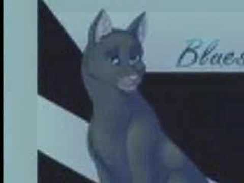 Tags:Warrior cats bluestar tigerstar mistyfoot stonefur mosskit oakfur erin 