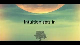Watch Contortionist Language I  Intuition video
