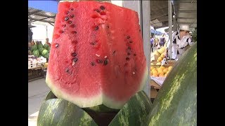Последние новости в туле и тульской области