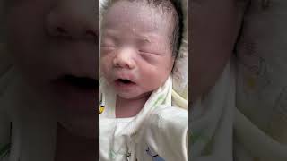 Meltdown To Milk Hungry Babys Bottle Joy