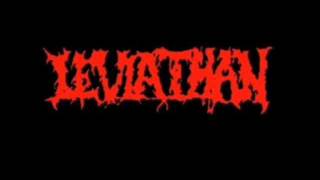 Watch Leviathan Violent Slaughter video