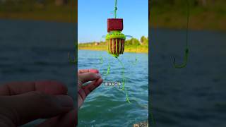 Tips For Fishing Silver Carp And Bighead Carp With Sea Pole And Water Treasure Fishing