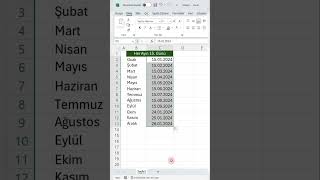 Microsoft Excelde Ayları Artırarak Çoğaltmak