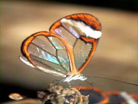 top Instrumental songs 2014 hindi album super hits music Indian...