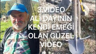 Taşköprü Dayı Köyü