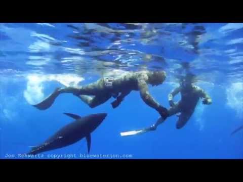 noegne piger billeder щука №33548 noegne piger billeder щука № 33547