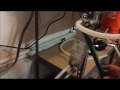 Video RIMS Electric All Grain Home Brewing using Arduino Part 3