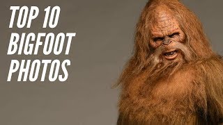 Top 10 - Bigfoot Photos