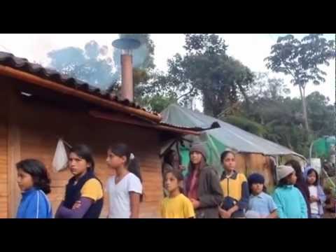 LETRA PIEL CANELA LUIS SILVA letra piel canela luis silva: